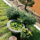 그림 같은 집 이미지