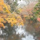 보아노래연습장 이미지