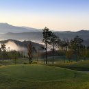 샤인스타트 이미지