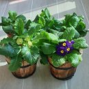 튼튼해짐 이미지