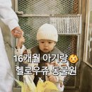 밀레쥬에듀파크 | 울산 아기랑 실내체험 / 헬로우쥬 실내동물원 16개월 아기랑 다녀왔어요🐶🐴🐰🐢