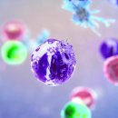 의학 주제 증상 응급상황 자료해설﻿-﻿Msd 매뉴얼 일반인용 이미지