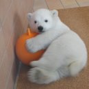 반포대로27길1-1 이미지