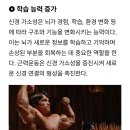 뇌 과학자가 말하는 근력운동 꼭 해야하는 이유 이미지