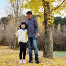 해남햇살영농조합법인 이미지