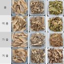 노각나무, 구강균에 항균 효과…경남산림환경연구원 3년 연구 이미지