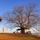 대산문화체육공원(야구장) 이미지