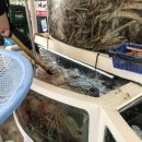 서민유통 이미지