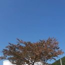 설악산장 이미지