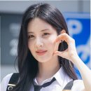 모아니면도