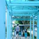 저청초등학교 병설유치원 이미지