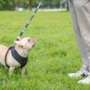 광교역사 이미지