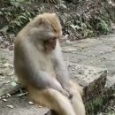 닥터크리미의원 이미지