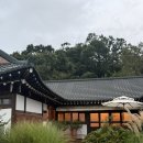 강화 휴휴당 | 강화도 독채 숙소 ‘휴휴당’에서 조용한 1박 / 가족 숙소 추천