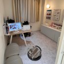 레푸스미아 이미지