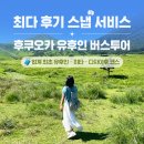 알림 | 일본 eSIM 소프트뱅크 매일 500MB 후기 유심사 알림톡 발급부터 현지 사용법까지