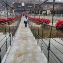 백송춘천닭갈비 이미지