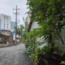 [서울 중구] 데이트 맛집.. 정원레스토랑 어반가든 이미지