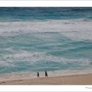 카리브해 이미지