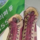 발로니아 이미지