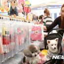 개린이집 동행미디어 시대