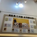 뽀도독애견카페