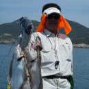 바다소식 이미지