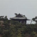 새천년관광