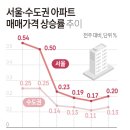 보는뉴스