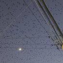 경기도 수원시 영통구 중부대로256번길 이미지