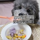 오지의 펫테이블 이미지