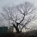 부천여자중학교 이미지