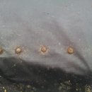 묘수농장 이미지