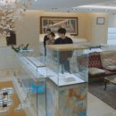 쥬얼리모텔 이미지