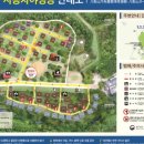 치유의 숲 야영장 이미지