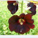 홀리허브 이미지