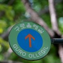 올레길 산림형 3코스 이미지