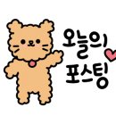 신미칼국수 이미지