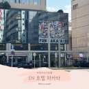 하루호텔(HARU HOTEL) | 후쿠오카 호텔 하카타 가성비 숙소 EN HOTEL 예약 후기