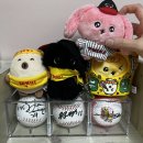 영빈파크 | 가다]2군 얼라들 보러••• ♥️ 엘지챔피언스파크 방문후기 (250629 엘지트윈스 vs 삼성라이온즈 2군경기)