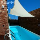 몸냥스테이 이미지