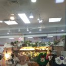 버드내코아 이미지