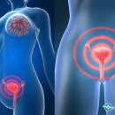 정법한의원 이미지