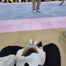 [아기 책 육아] 월드패밀리잉글리쉬 / 월팸 미친...돈 내산 후기 / 월팸쇼 베이비타임 후기 / 아기 영어...