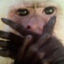 성균관대학교 국정전문대학원 이미지