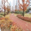 블루공인중개사사무소 이미지