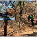 대운산자연휴양림 이미지