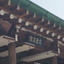 대동사 Daum카페