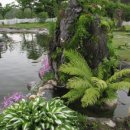 언덕위에 하얀집 이미지