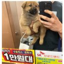 우리물류